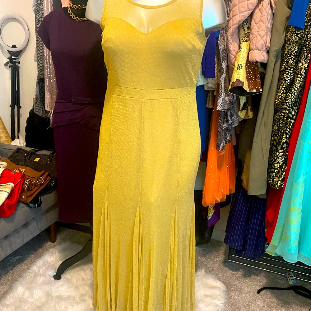 Formal Plus Size Dress-1x